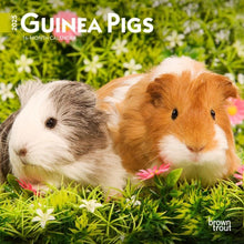 Load image into Gallery viewer, Browntrout Guinea Pigs 2025 7 x 7 Mini Calendar
