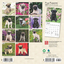 Load image into Gallery viewer, Browntrout Pug Puppies 2025 7 x 7 Mini Calendar
