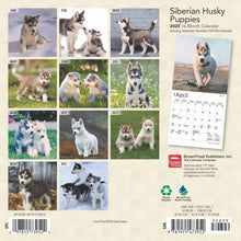Load image into Gallery viewer, Browntrout Siberian Husky Puppies 2025 7 x 7 Mini Calendar
