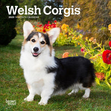 Load image into Gallery viewer, Browntrout Welsh Corgis 2025 7 x 7 Mini Calendar

