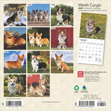 Load image into Gallery viewer, Browntrout Welsh Corgis 2025 7 x 7 Mini Calendar
