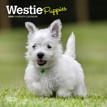 Load image into Gallery viewer, Browntrout West Highland White Terrier Puppies 2025 7 x 7 Mini Calendar
