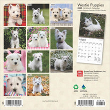 Load image into Gallery viewer, Browntrout West Highland White Terrier Puppies 2025 7 x 7 Mini Calendar
