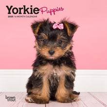 Load image into Gallery viewer, Browntrout Yorkshire Terrier Puppies 2025 7 x 7 Mini Calendar
