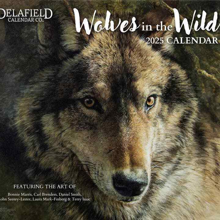 Robert Lang Wolves in the Wild 2025 Wall Calendar