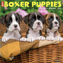 Load image into Gallery viewer, Willow Creek Boxer Puppies 2025 12 x 12 Wall Calendar
