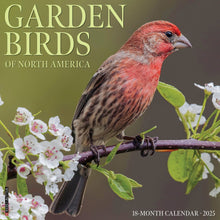 Load image into Gallery viewer, Willow Creek Garden Birds of North America 2025 12 x 12 Wall Calendar
