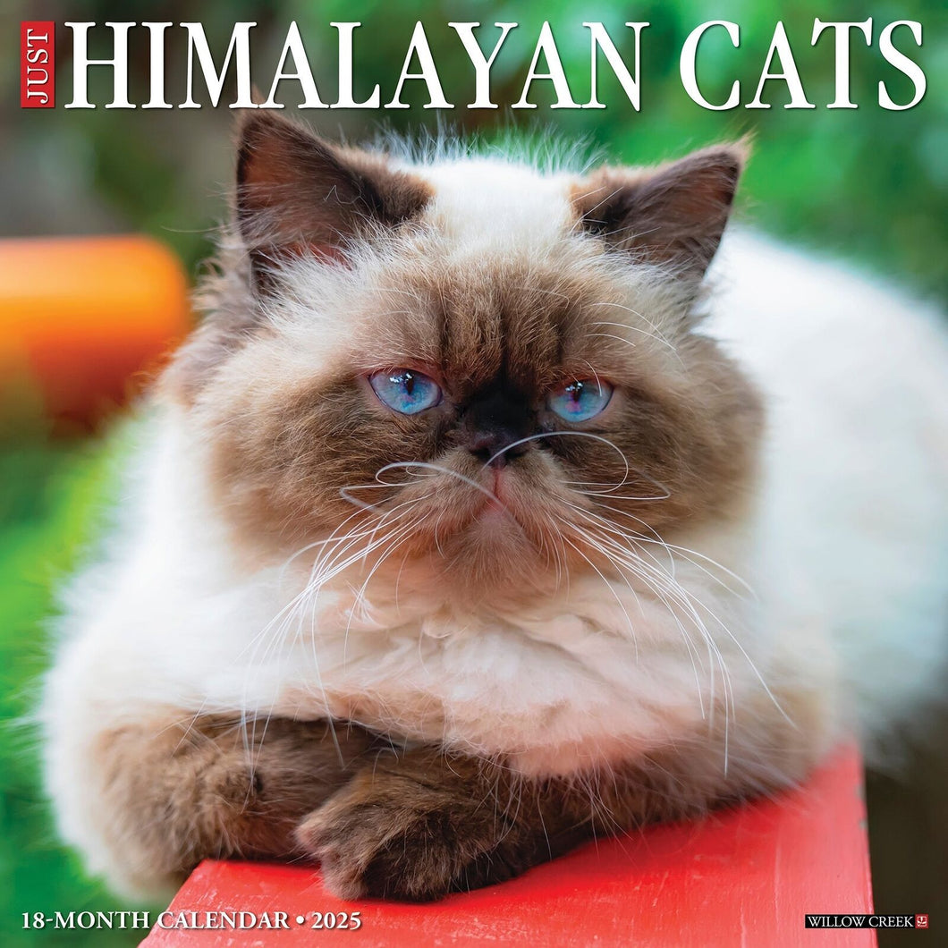 Willow Creek Himalayan Cats 2025 12 x 12 Wall Calendar