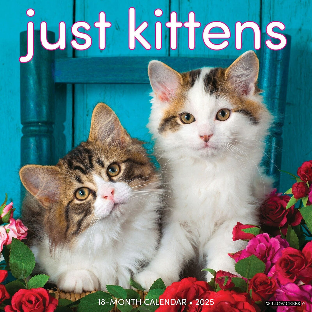Willow Creek Kittens 2025 12 x 12 Wall Calendar