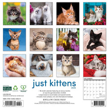 Load image into Gallery viewer, Willow Creek Kittens 2025 12 x 12 Wall Calendar
