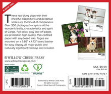 Load image into Gallery viewer, Willow Creek Corgis 2025 6.2&quot; x 5.4&quot; Box Calendar
