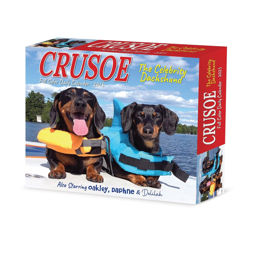 Willow Creek Crusoe the Celebrity Dachshund 2025 6.2