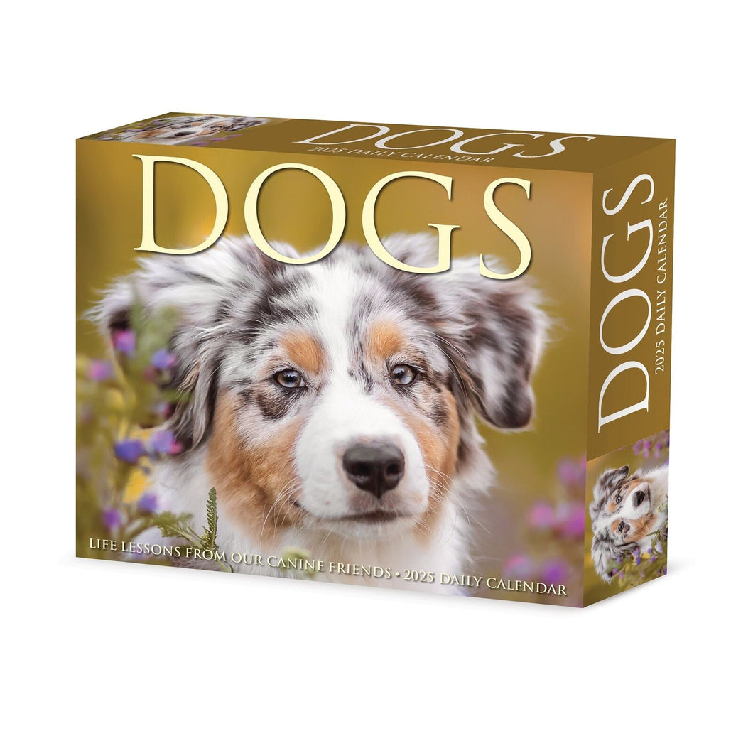 Willow Creek Dogs 2025 6.2