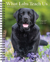 Load image into Gallery viewer, Willow Creek What Labs Teach Us 2025 6.5&quot; x 8.5&quot; Engagement Calendar
