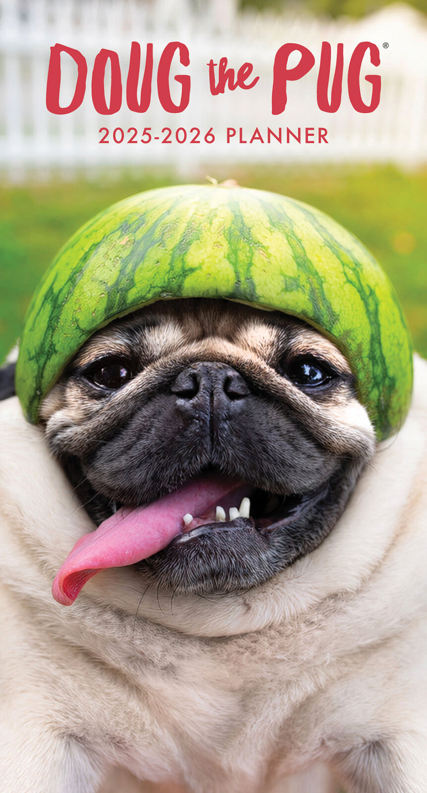 Willow Creek Doug the Pug 2025 2-Year Monthly Pocket Planner