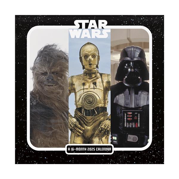 Trends International Star Wars: Saga 2025 7 x 7 Mini Calendar