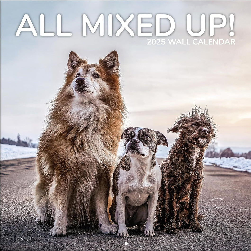 Turner All Mixed Up! 12x12 Photo 2025 Wall Calendar