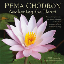 Load image into Gallery viewer, Amber Lotus Pema Chödrön 12x12 2025 Wall Calendar
