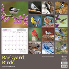 Load image into Gallery viewer, TF Publishing Backyard Birds 2026 Wall Calendar
