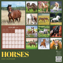 Load image into Gallery viewer, TF Publishing Horses 2026 Wall Calendar
