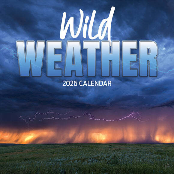 TF Publishing Weather 2026 Wall Calendar