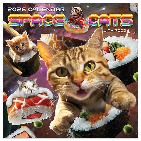 TF Publishing Space Cats 2026 Mini Calendar