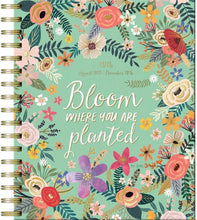 Load image into Gallery viewer, WSBL Shine Within 2026 17 Month Agenda Planner
