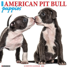 Load image into Gallery viewer, Willow Creek American Pit Bull Terrier Puppies 2026 12&quot; x 12&quot; Wall Calendar
