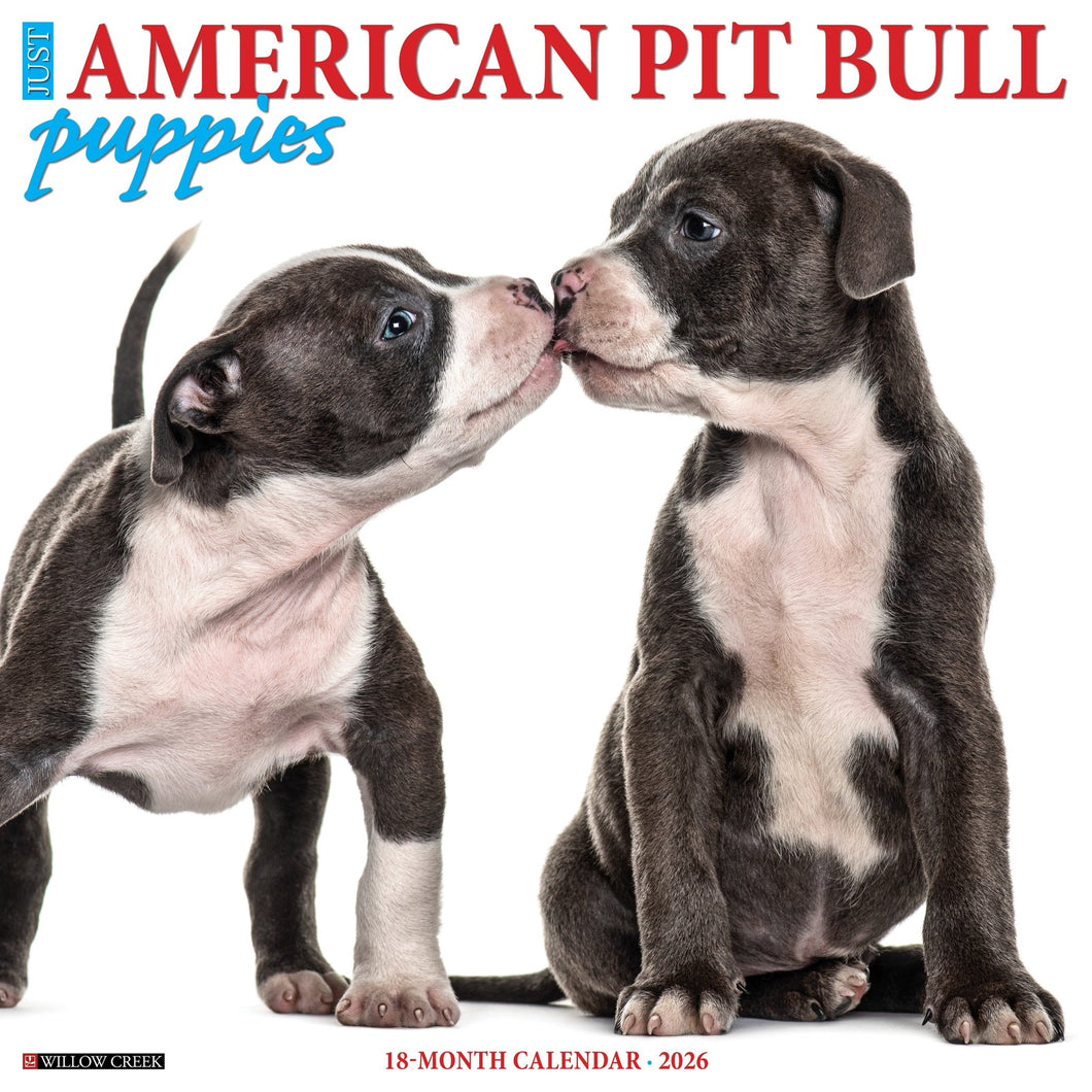 Willow Creek American Pit Bull Terrier Puppies 2026 12