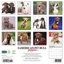 Load image into Gallery viewer, Willow Creek American Pit Bull Terrier Puppies 2026 12&quot; x 12&quot; Wall Calendar
