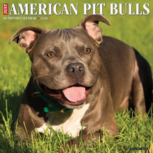 Load image into Gallery viewer, Willow Creek American Pit Bull Terriers 2026 12&quot; x 12&quot; Wall Calendar
