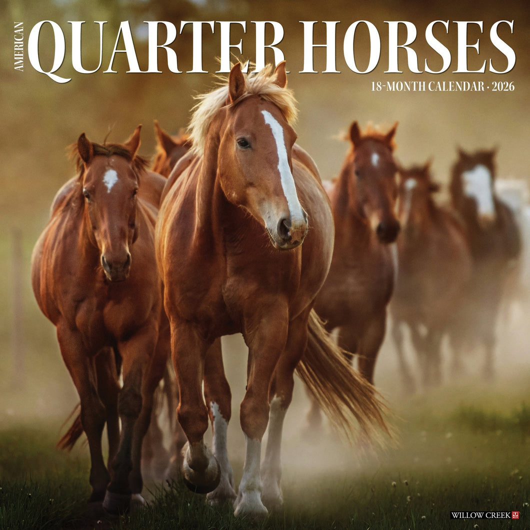 Willow Creek American Quarter Horses 2026 12