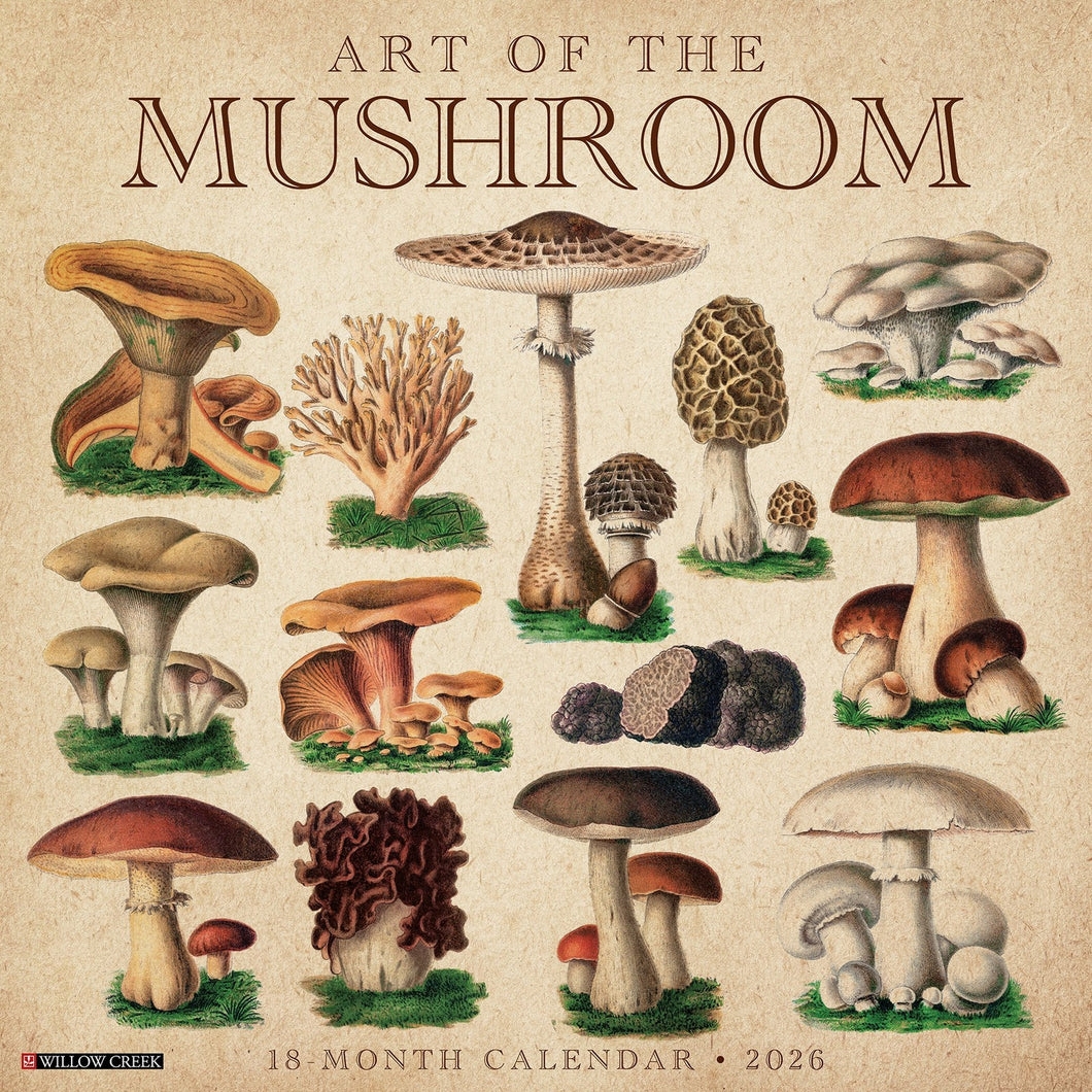 Willow Creek Art of the Mushroom 2026 12