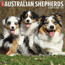 Load image into Gallery viewer, Willow Creek Australian Shepherds 2026 12&quot; x 12&quot; Wall Calendar
