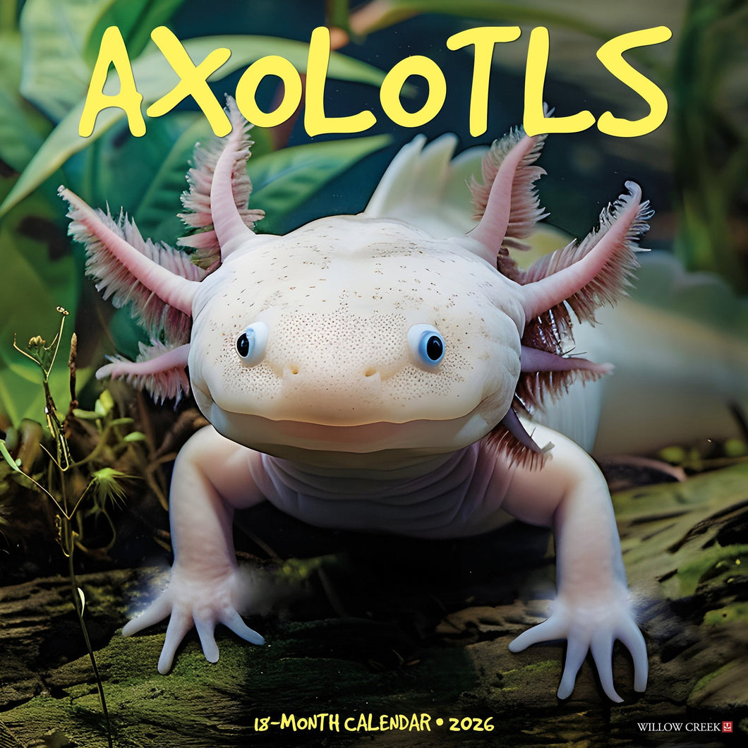 Willow Creek Axolotls 2026 12