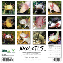 Load image into Gallery viewer, Willow Creek Axolotls 2026 12&quot; x 12&quot; Wall Calendar
