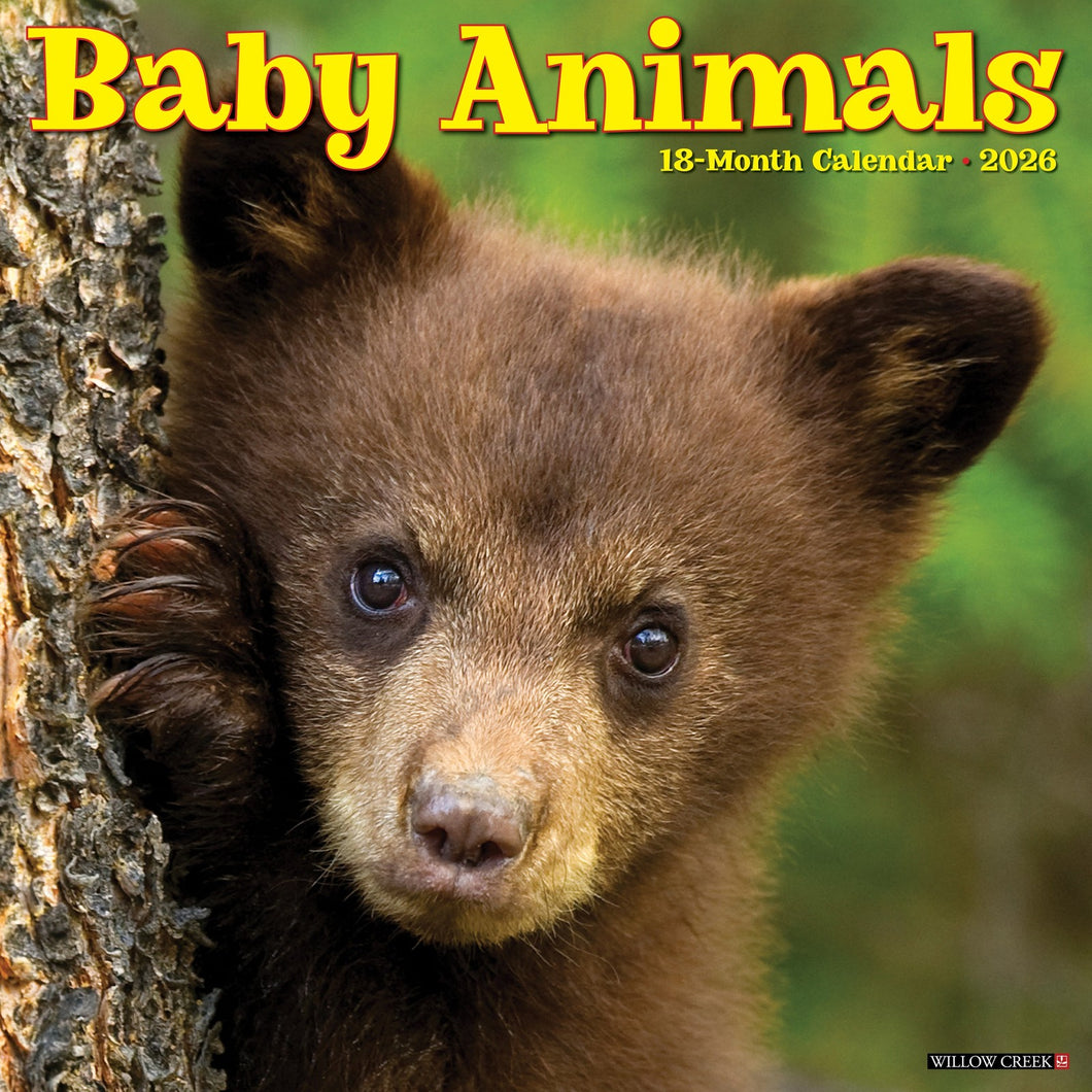 Willow Creek Baby Animals 2026 12