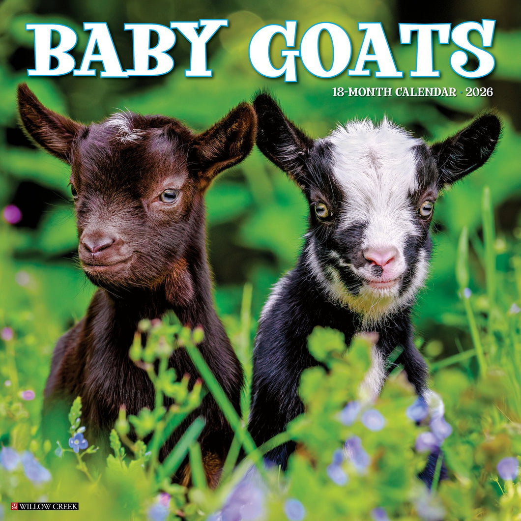 Willow Creek Baby Goats 2026 12