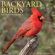 Load image into Gallery viewer, Willow Creek Backyard Birds 2026 12&quot; x 12&quot; Wall Calendar

