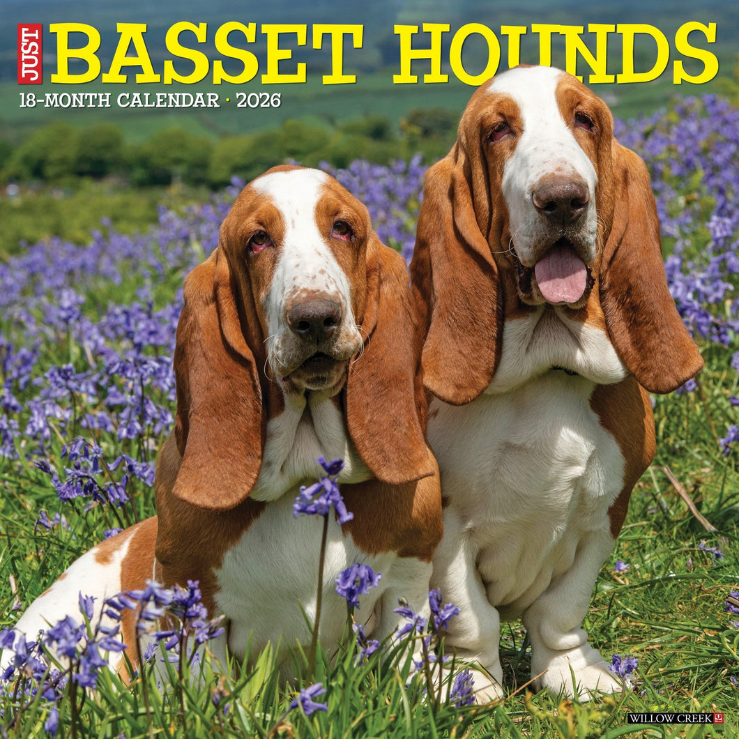 Willow Creek Basset Hounds 2026 12