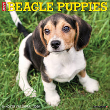 Load image into Gallery viewer, Willow Creek Beagle Puppies 2026 12&quot; x 12&quot; Wall Calendar
