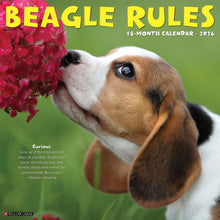 Load image into Gallery viewer, Willow Creek Beagle Rules 2026 12&quot; x 12&quot; Wall Calendar

