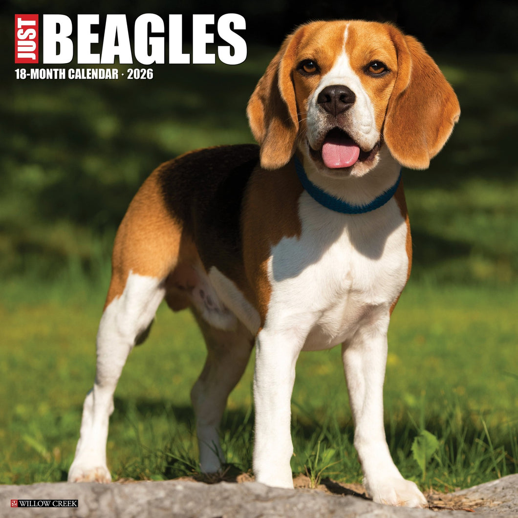 Willow Creek Beagles 2026 12