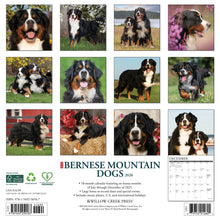 Load image into Gallery viewer, Willow Creek Bernese Mountain Dogs 2026 12&quot; x 12&quot; Wall Calendar
