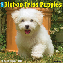Load image into Gallery viewer, Willow Creek Bichon Frise Puppies 2026 12&quot; x 12&quot; Wall Calendar
