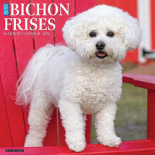 Load image into Gallery viewer, Willow Creek Bichon Frises 2026 12&quot; x 12&quot; Wall Calendar
