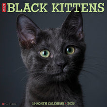 Load image into Gallery viewer, Willow Creek Black Kittens 2026 12&quot; x 12&quot; Wall Calendar
