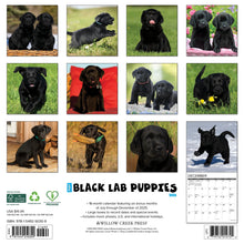 Load image into Gallery viewer, Willow Creek Black Lab Puppies 2026 12&quot; x 12&quot; Wall Calendar
