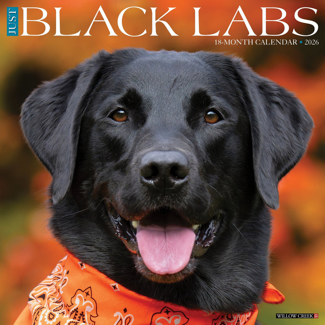 Willow Creek Black Labs 2026 12