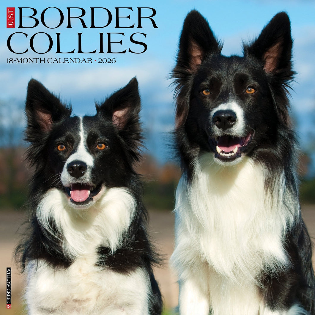 Willow Creek Border Collies 2026 12